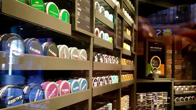 Så länge politikerna inte ställer till det är det svenska snuset säkert. Men risken är att okunskap, inkompetens eller en vilja att vara duktig skapar hot. Foto: Anna Ringström/TT